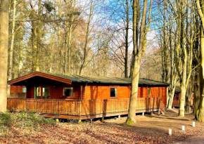 Bamboo Retreat